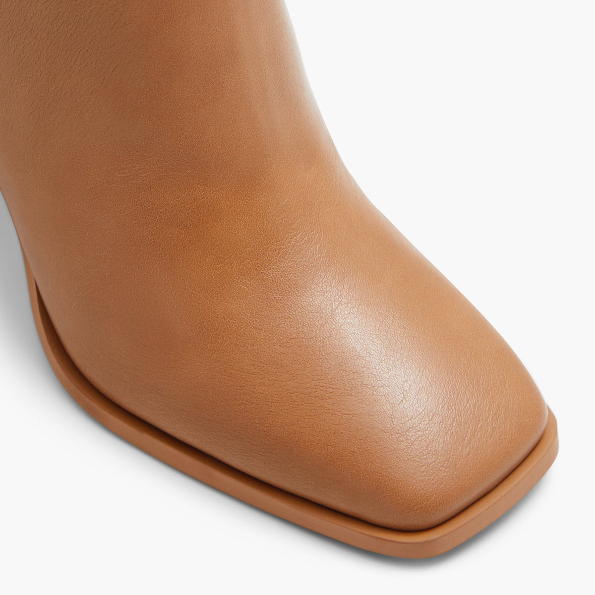 Close-up of the Light Brown Nadiah