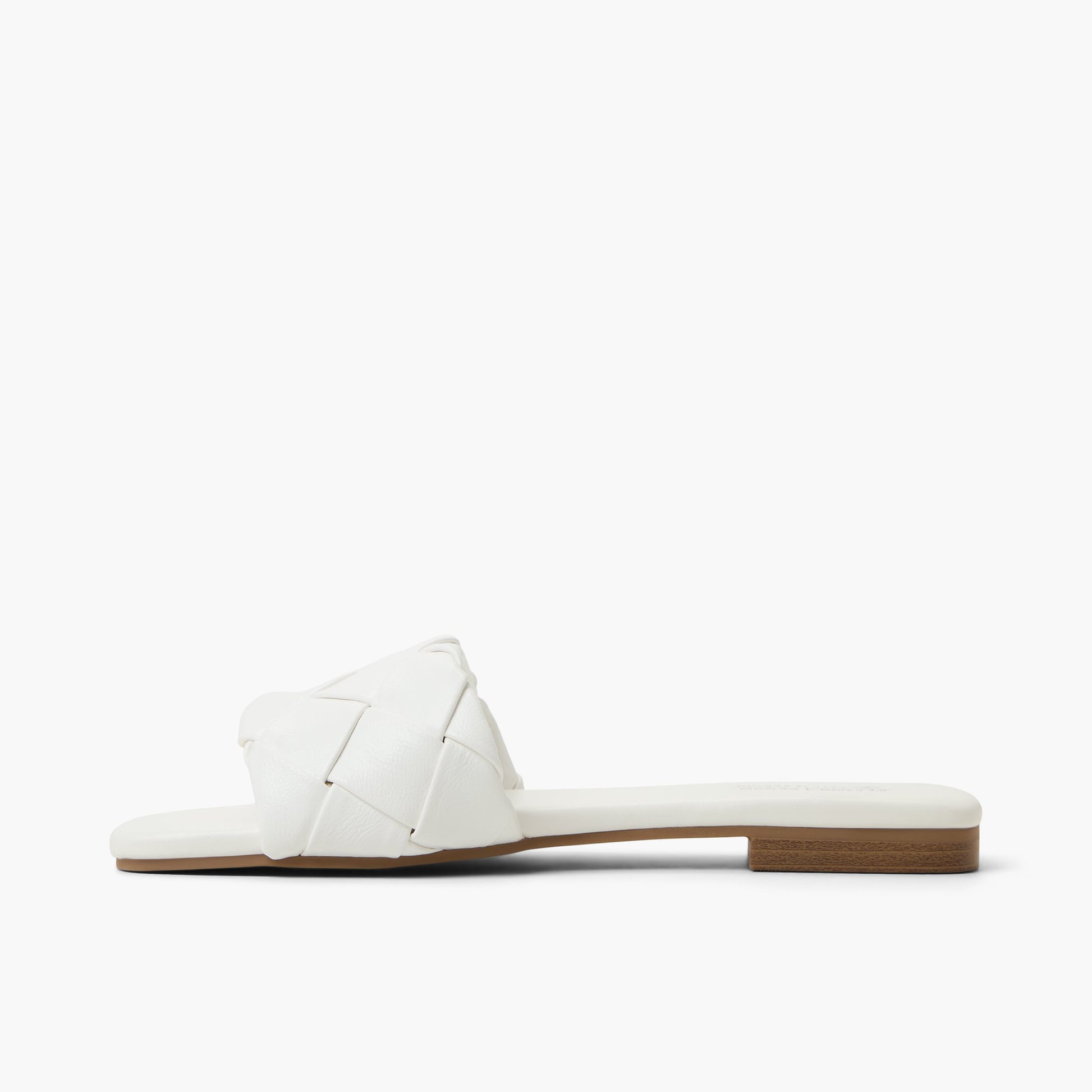Side view of White Kalia