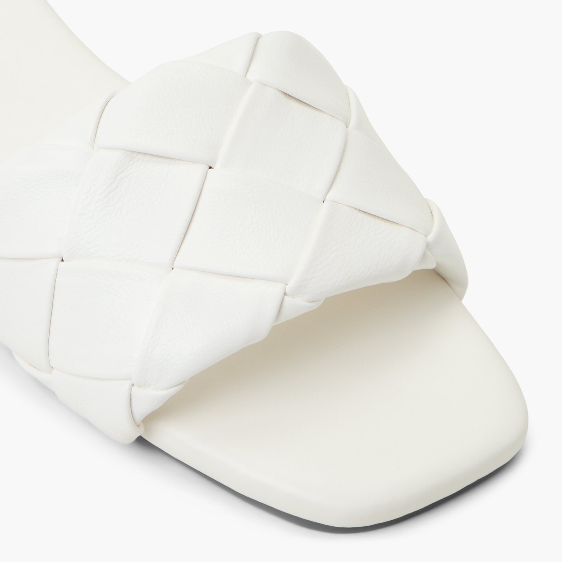 Close-up of the White Kalia