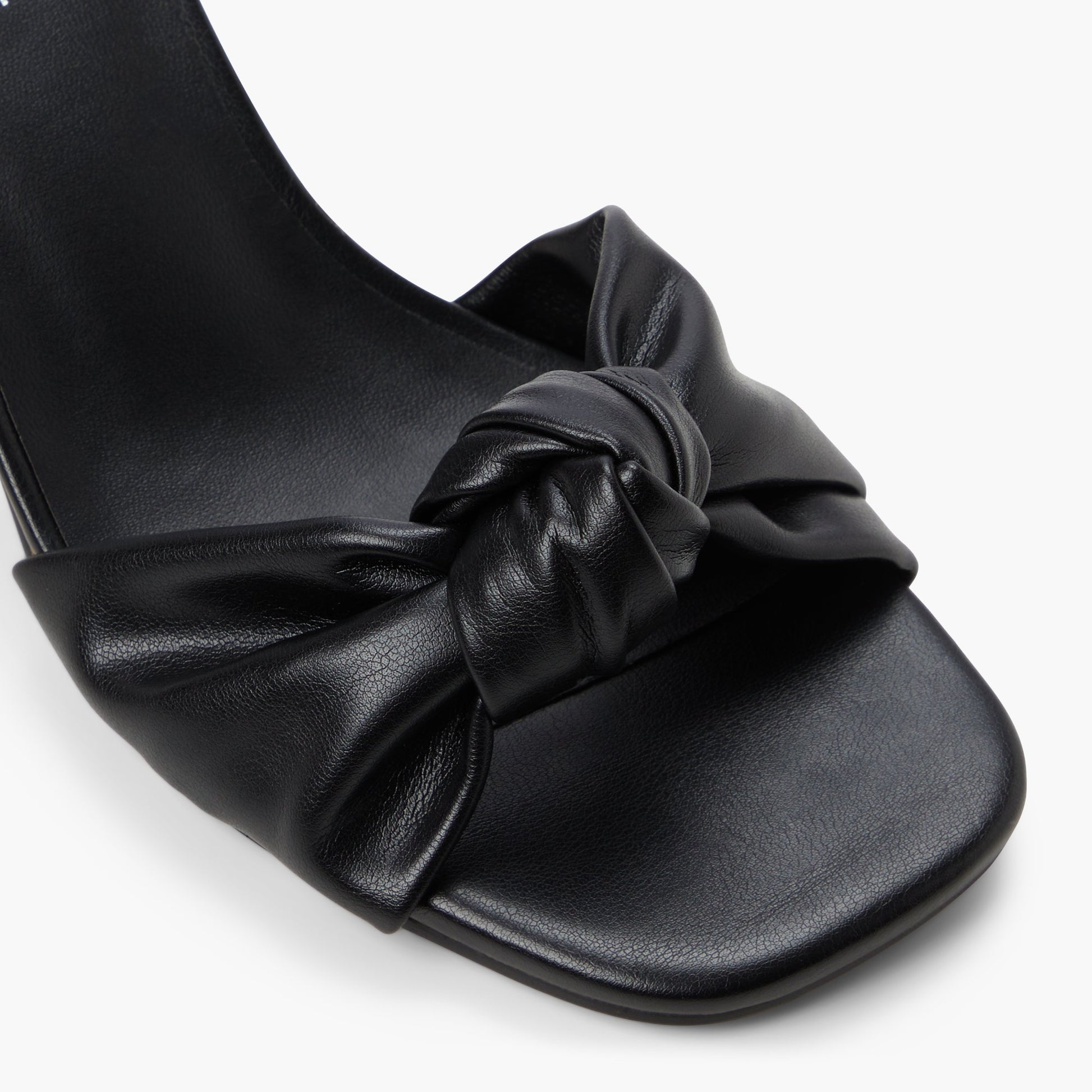 Close-up of the Black Florrence