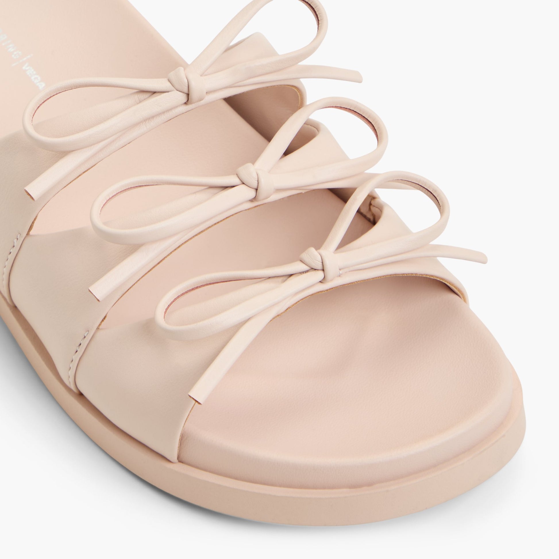 Close-up of the Light Pink Sofiarose