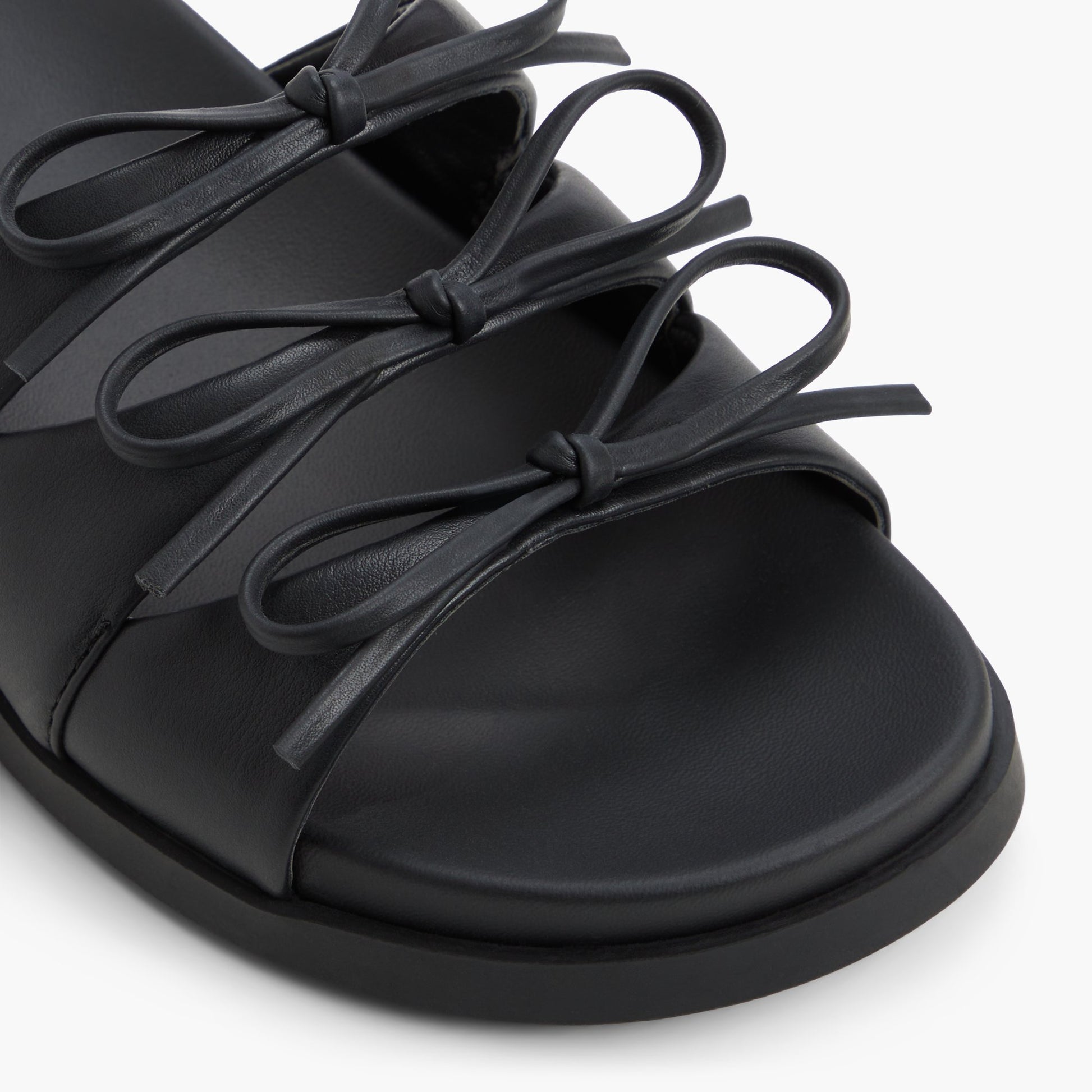 Close-up of the Black Sofiarose