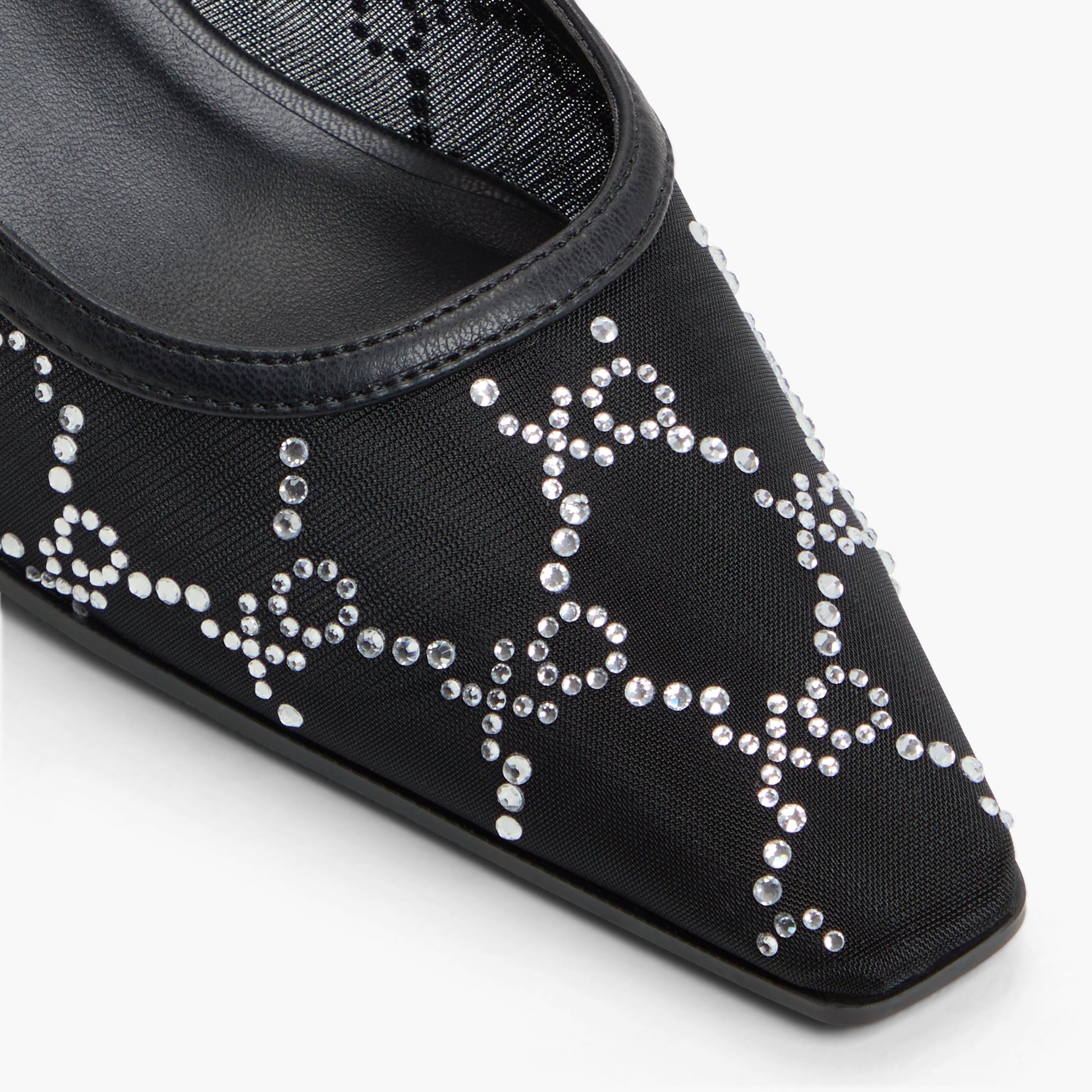 Close-up of the Black Amoura