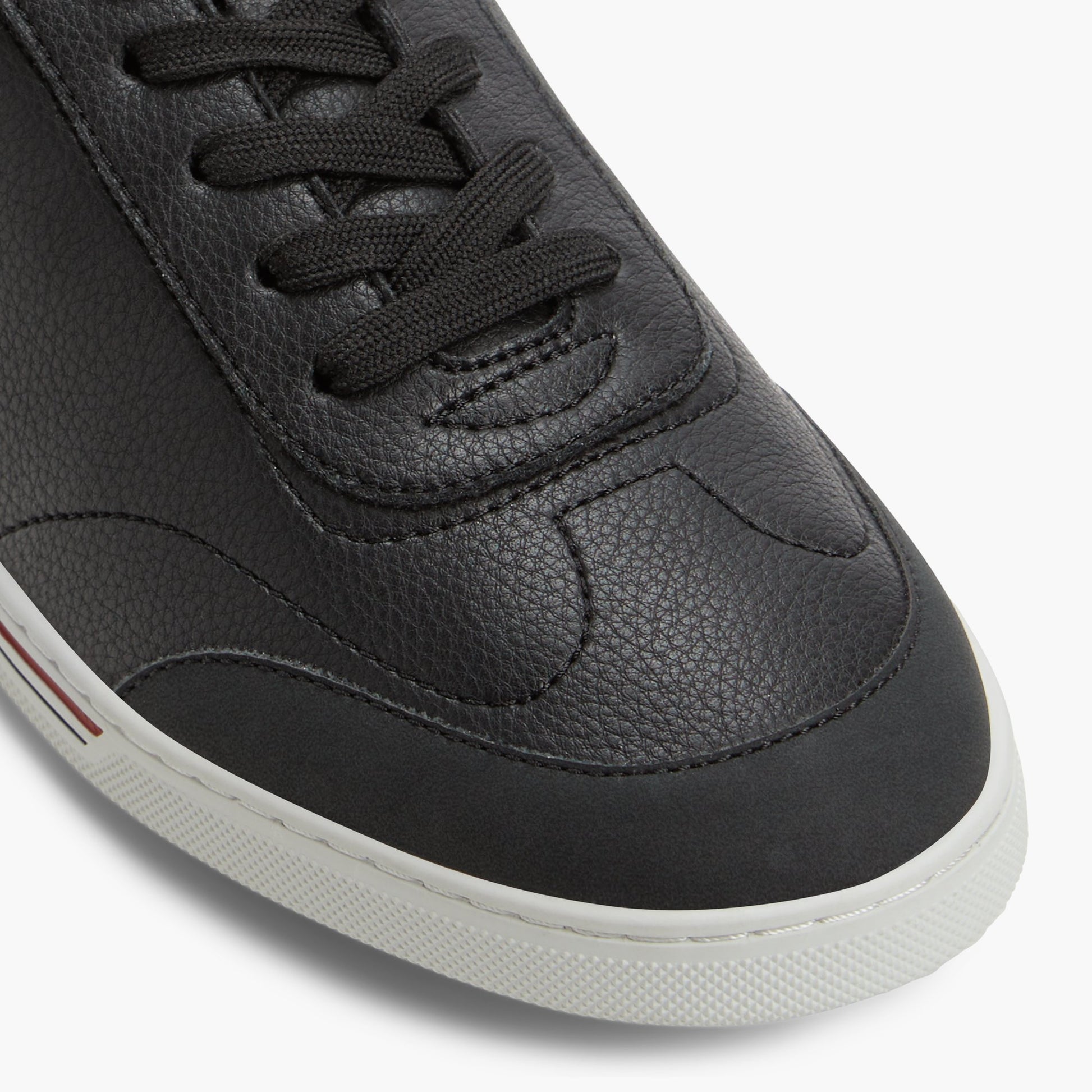 Close-up of the Black Domenico