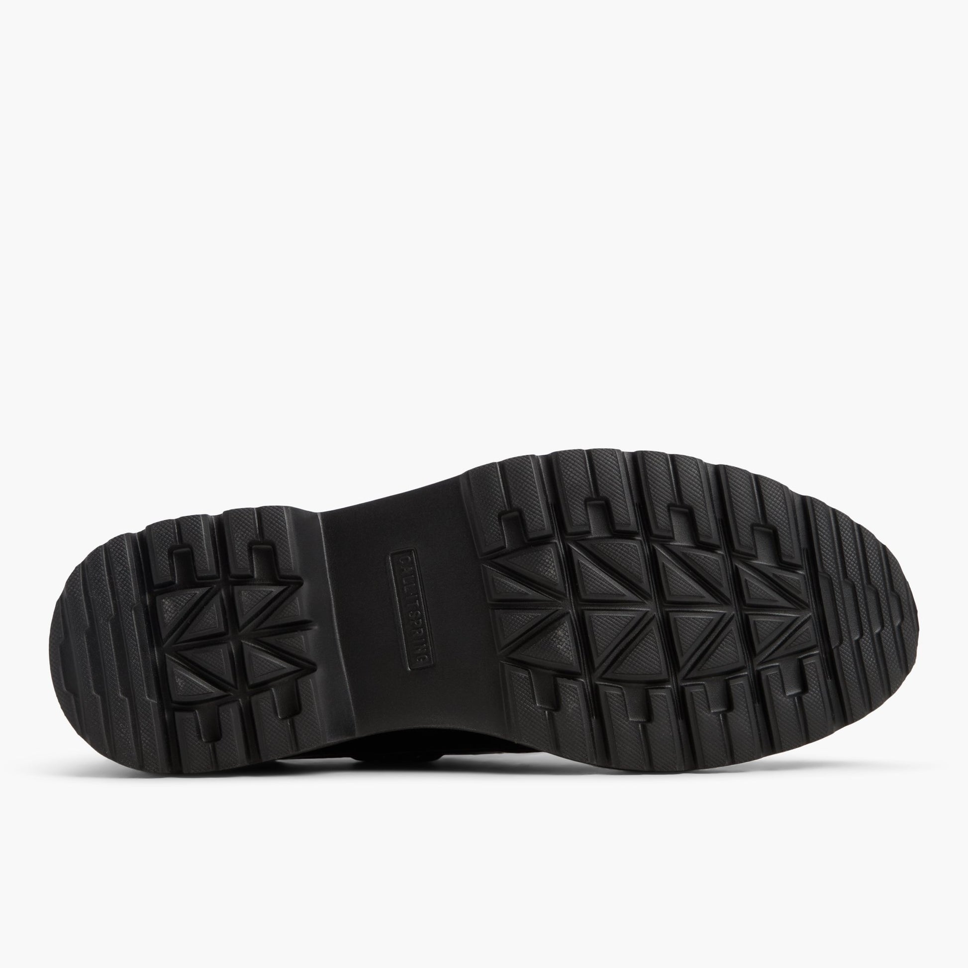 View of Black Nautilus 's sole