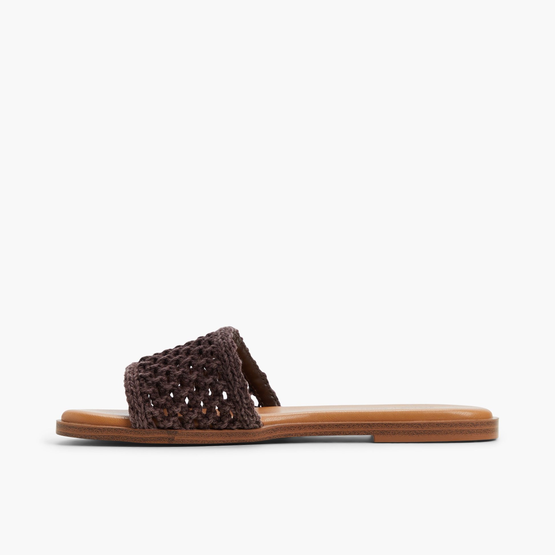 Side view of Dark Brown Fernn