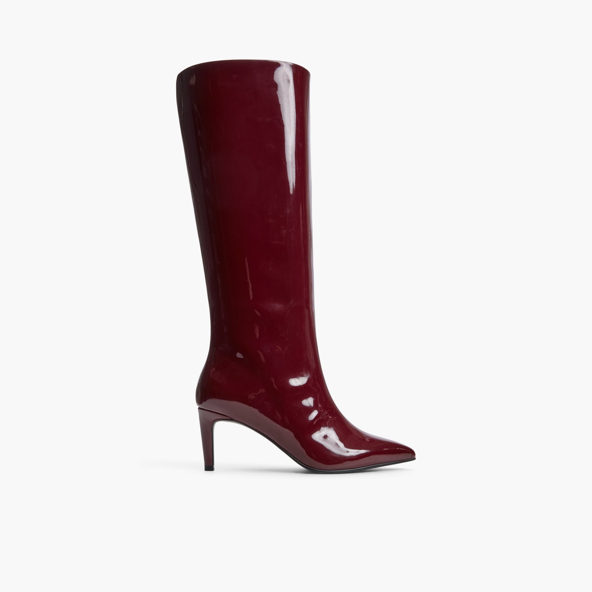 Main View of Bordo Rhodde Low-Mid Heeled Tall Boots for Womens