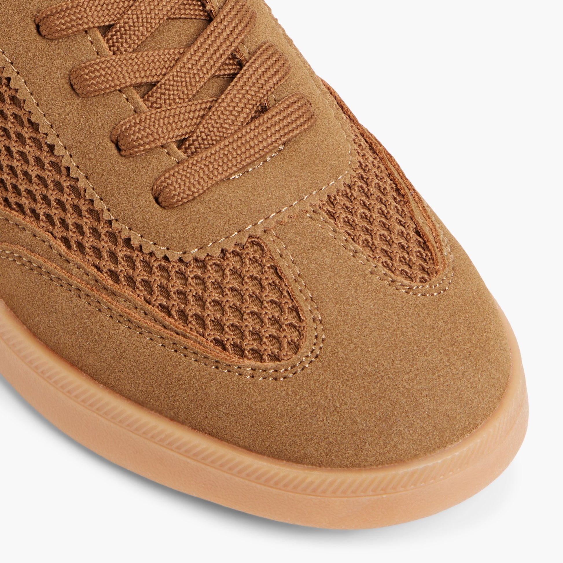 Close-up of the Brown Troye