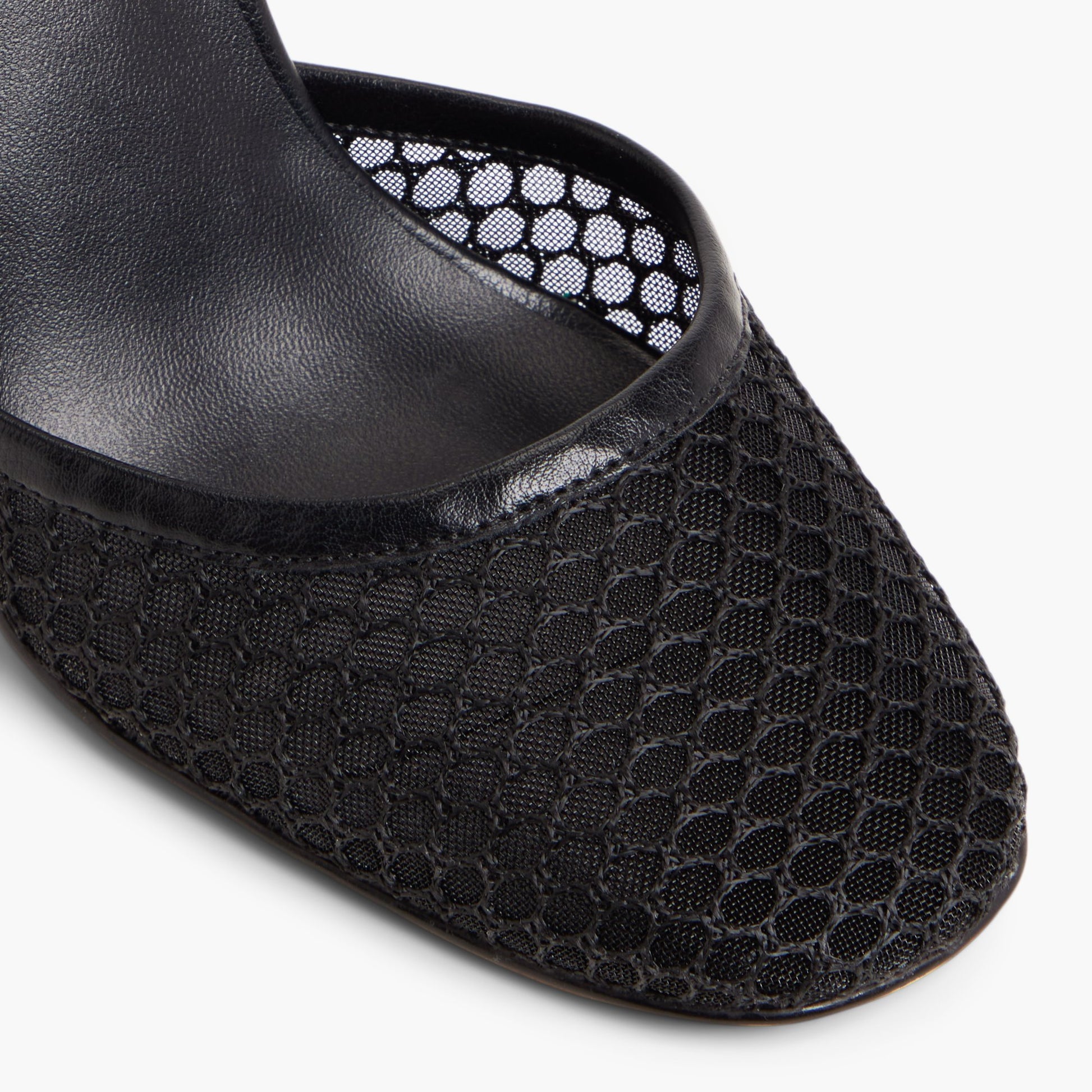 Close-up of the Open Black Demiie