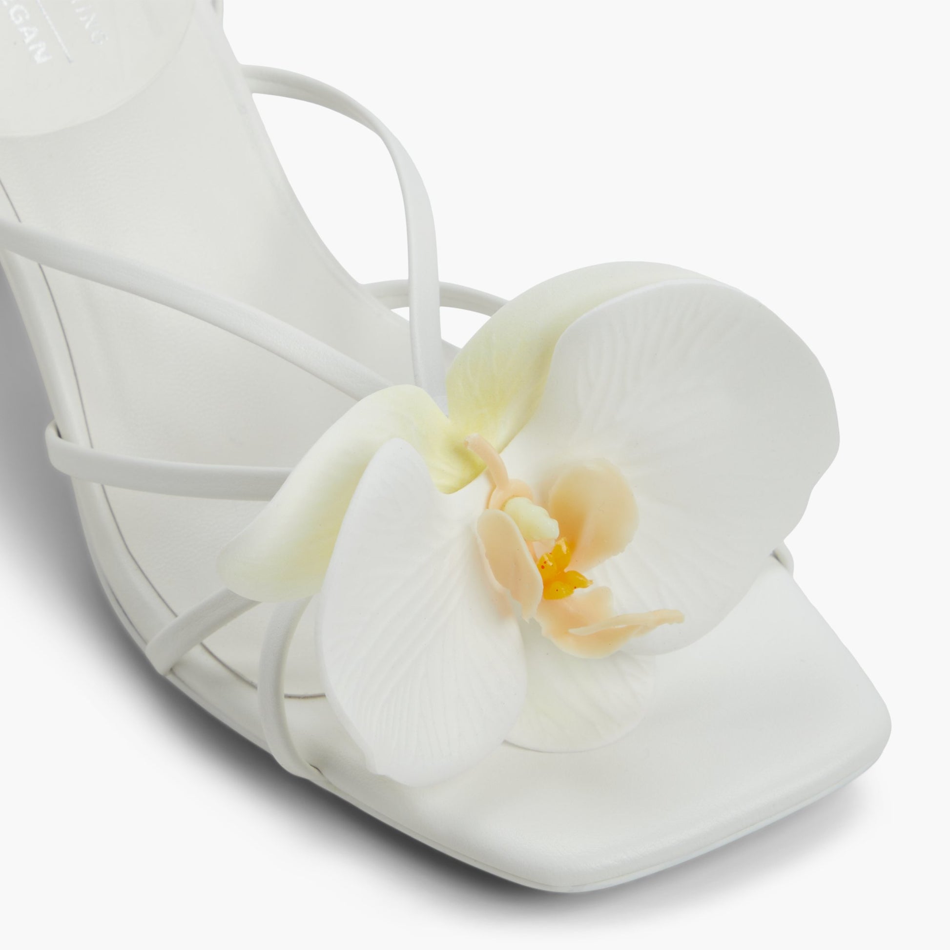 Close-up of the White Flourish