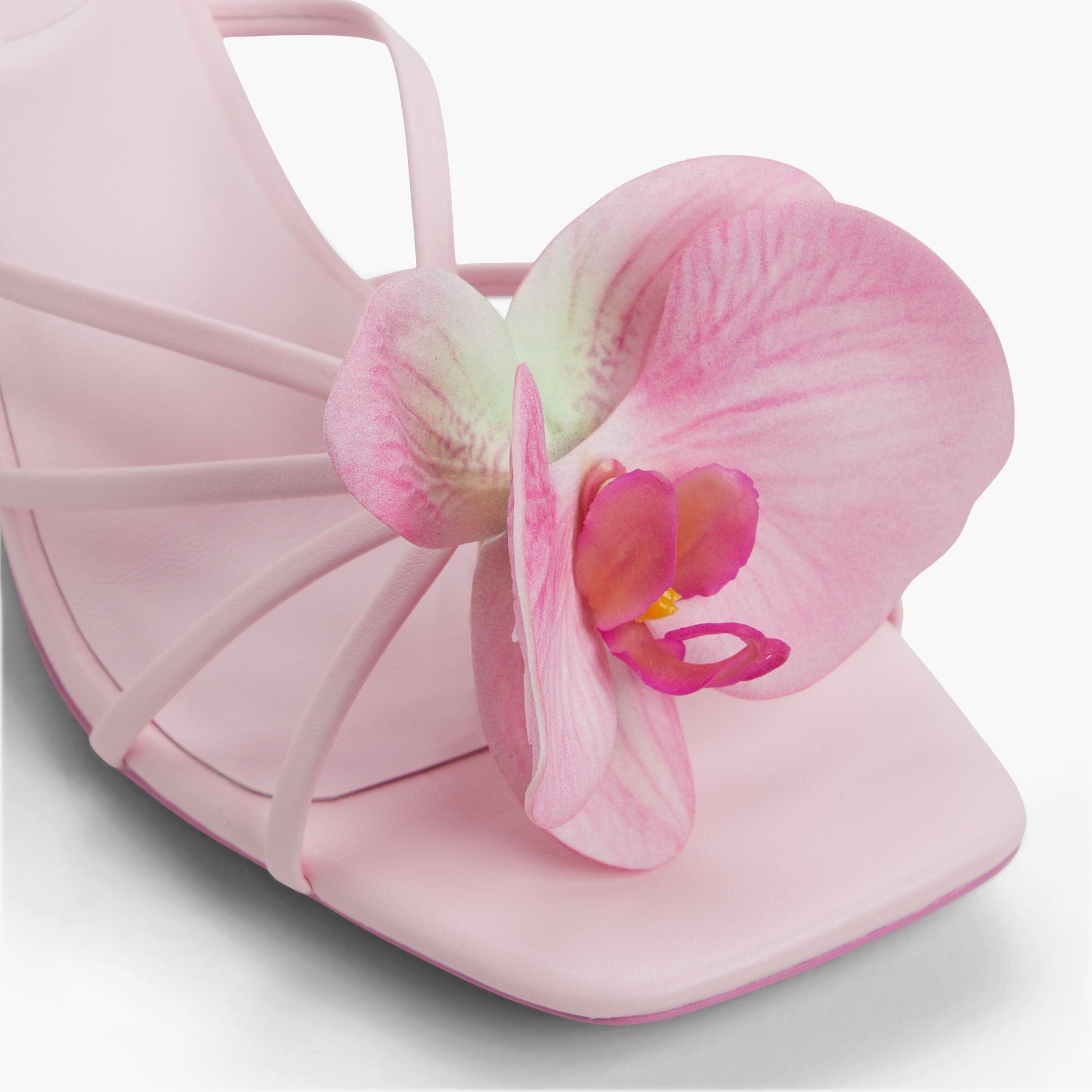 Close-up of the Pink Flourish