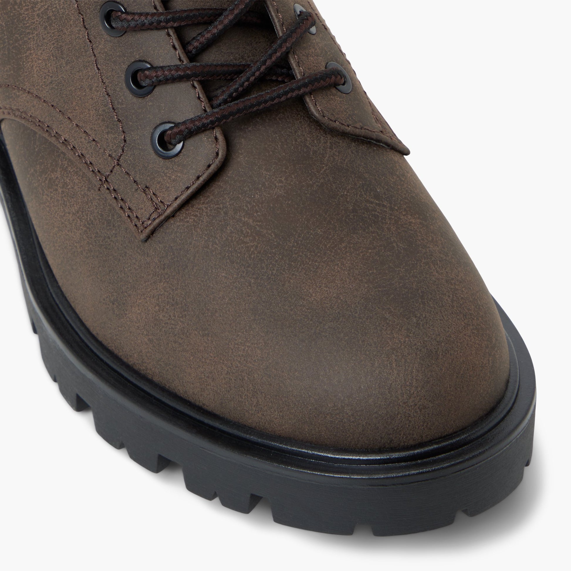 Close-up of the Brown Carolyne