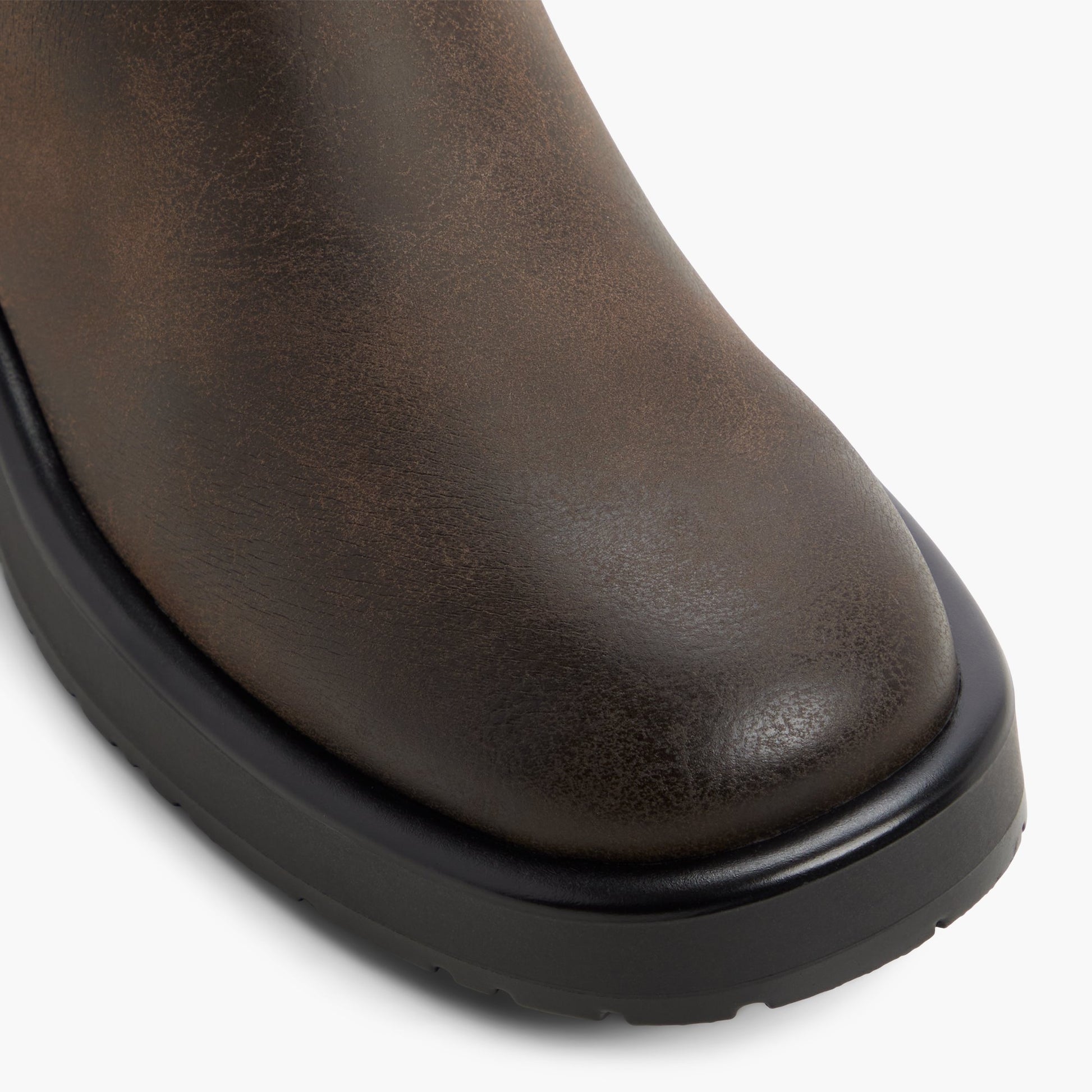 Close-up of the Dark Brown Willie