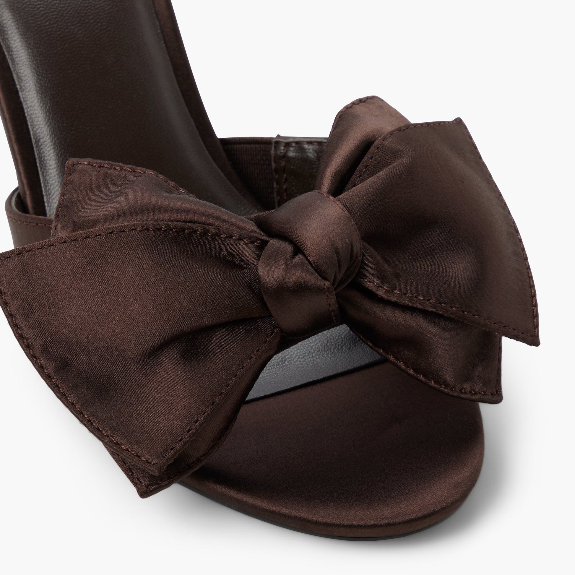 Close-up of the Dark brown Molliee
