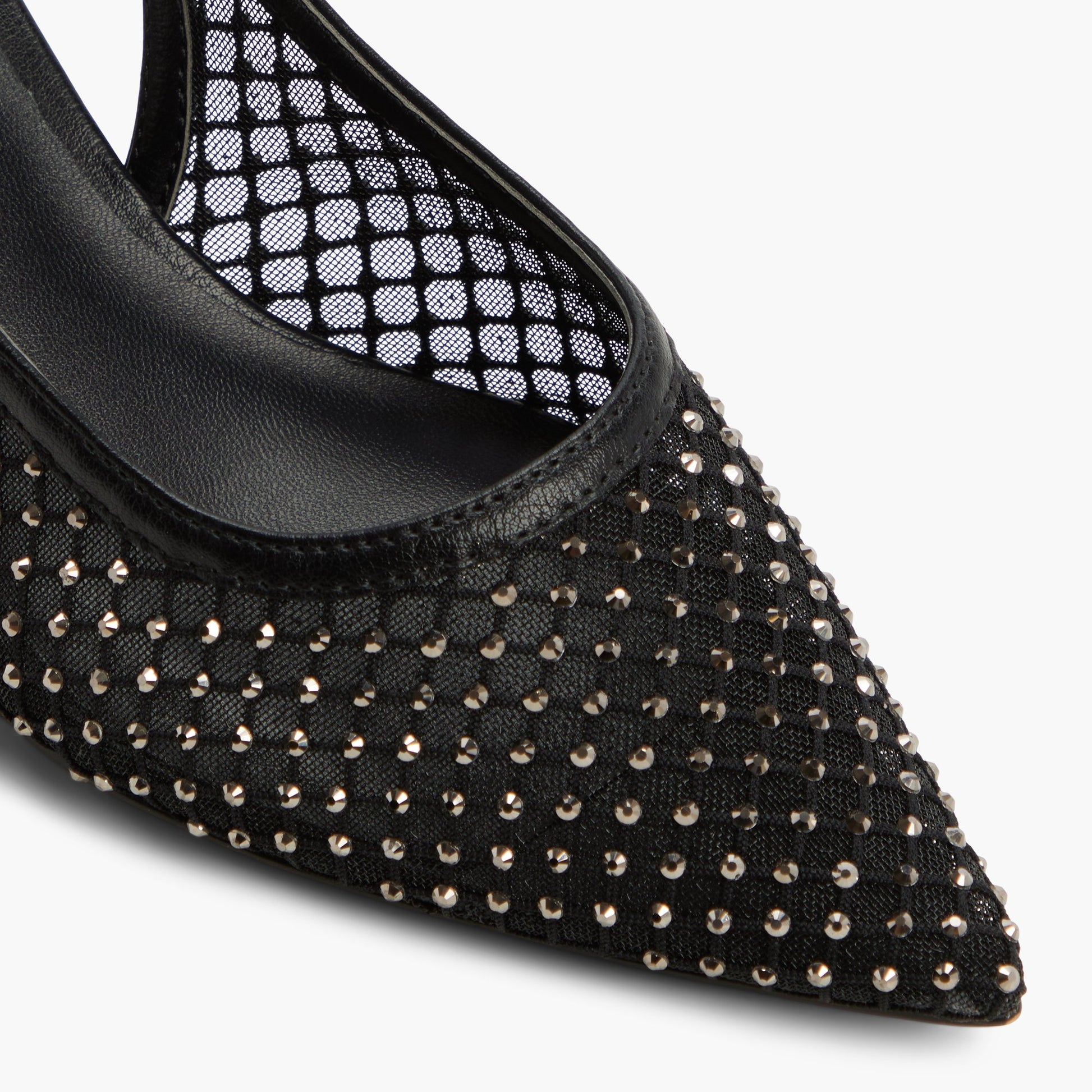 Close-up of the Open Black Dariahh