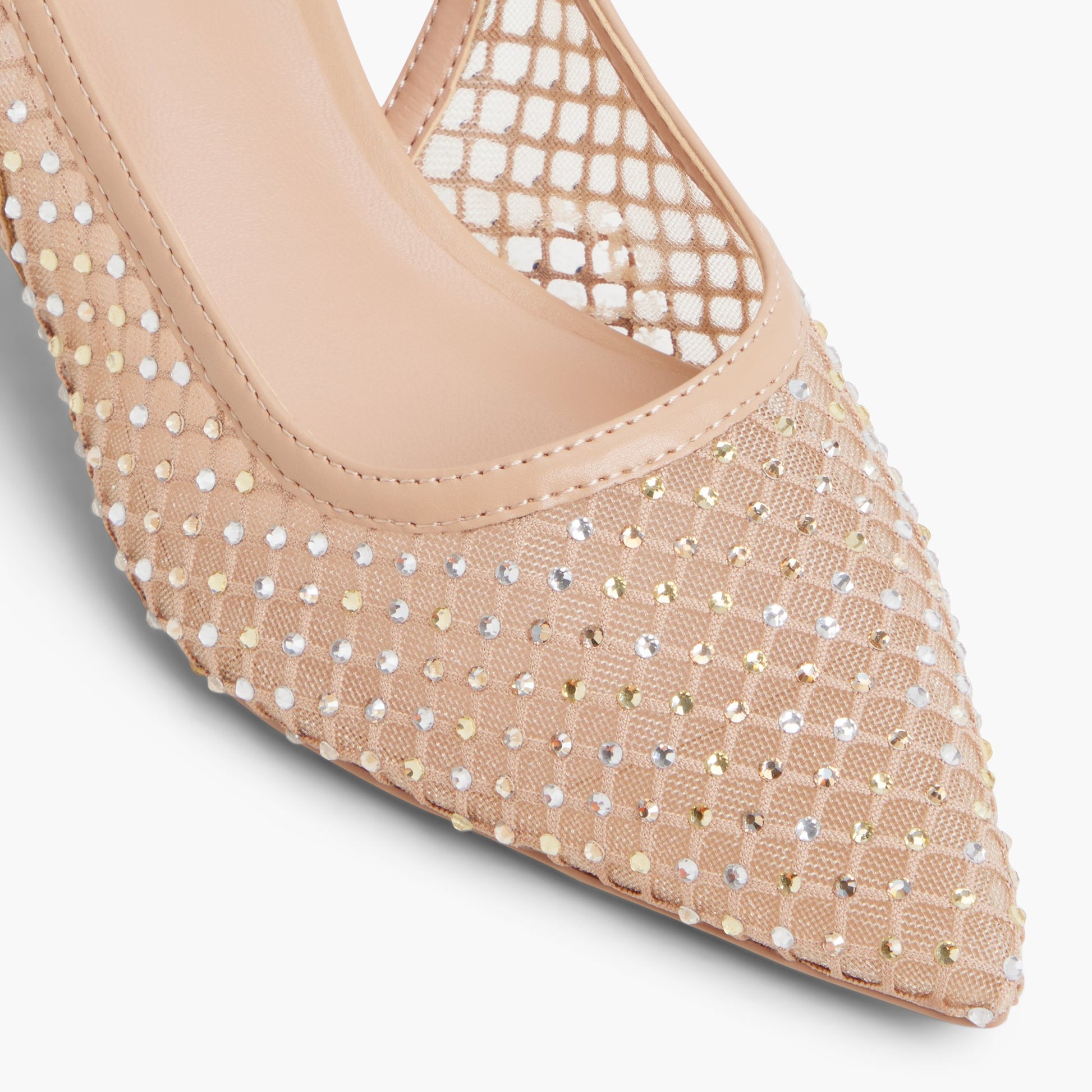 Close-up of the Other Beige Dariahh