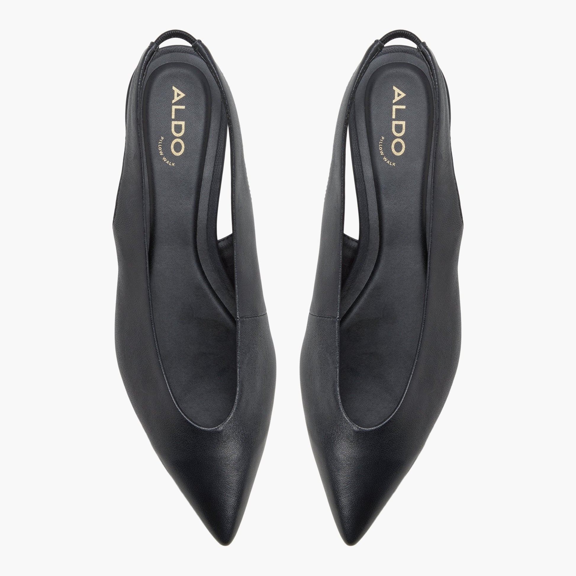 Top-down view of the Brown Fennton