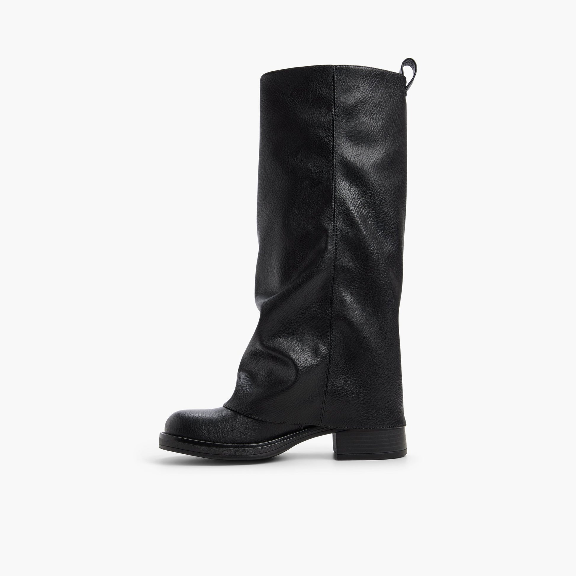 Vue latérale de Noir Axylle