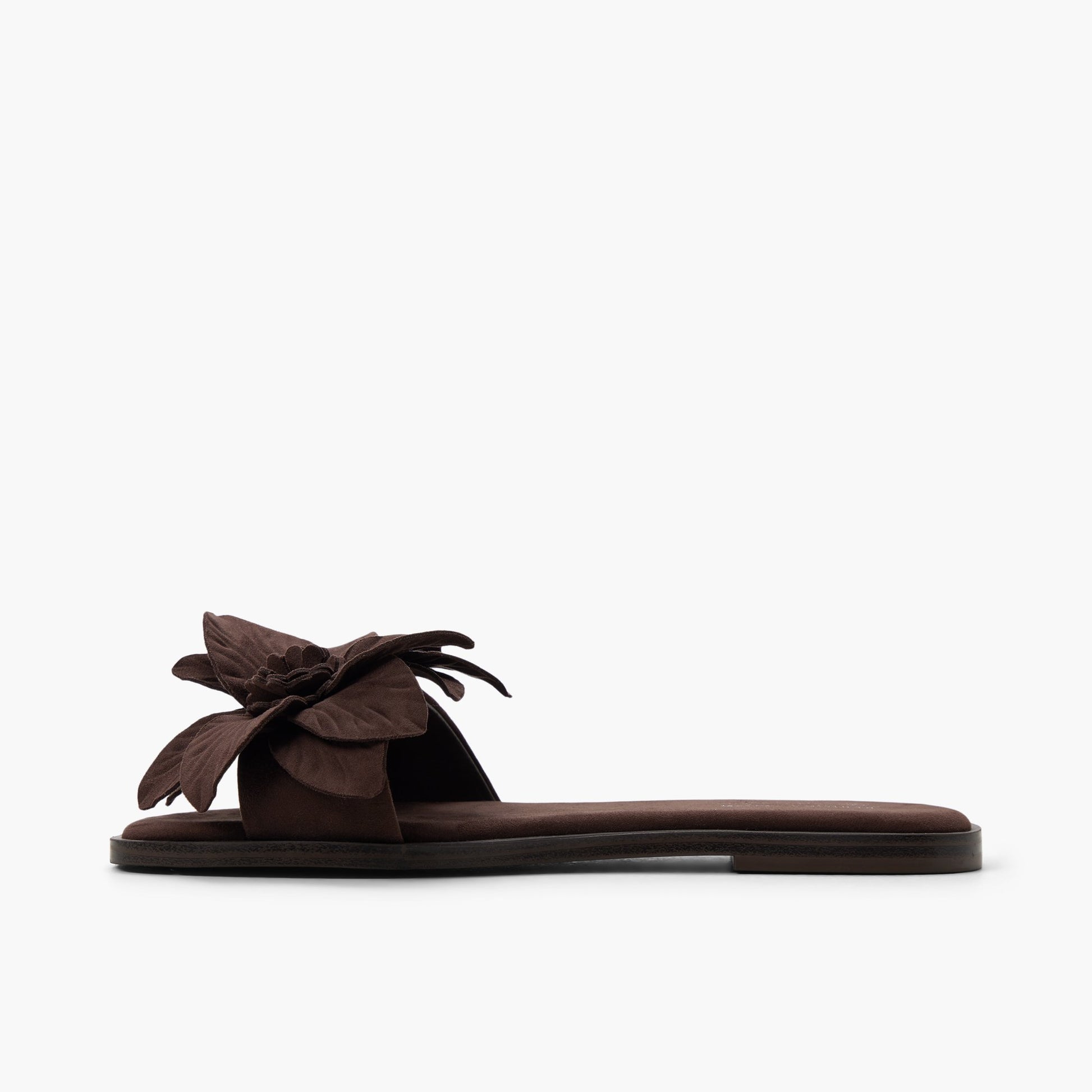 Test FR:Side view of Brun foncé Liliaa Claquettes