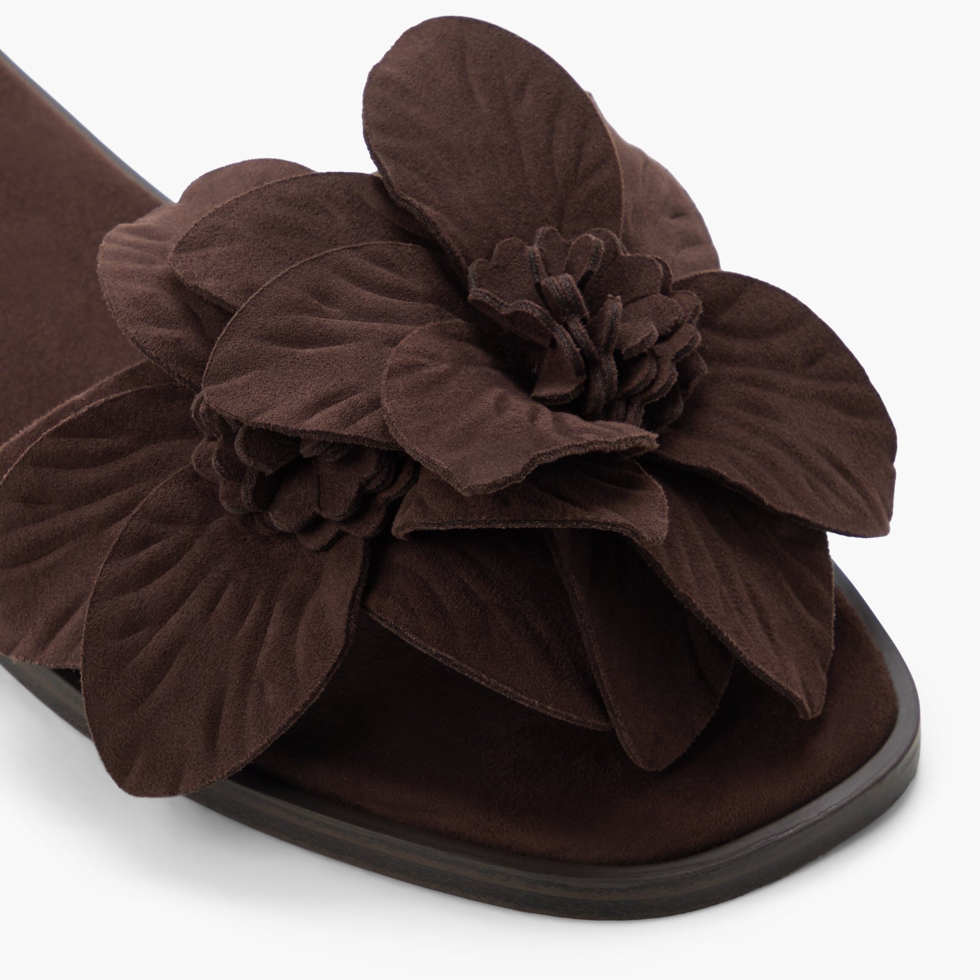 Test FR:Close-up of the Brun foncé Liliaa Claquettes