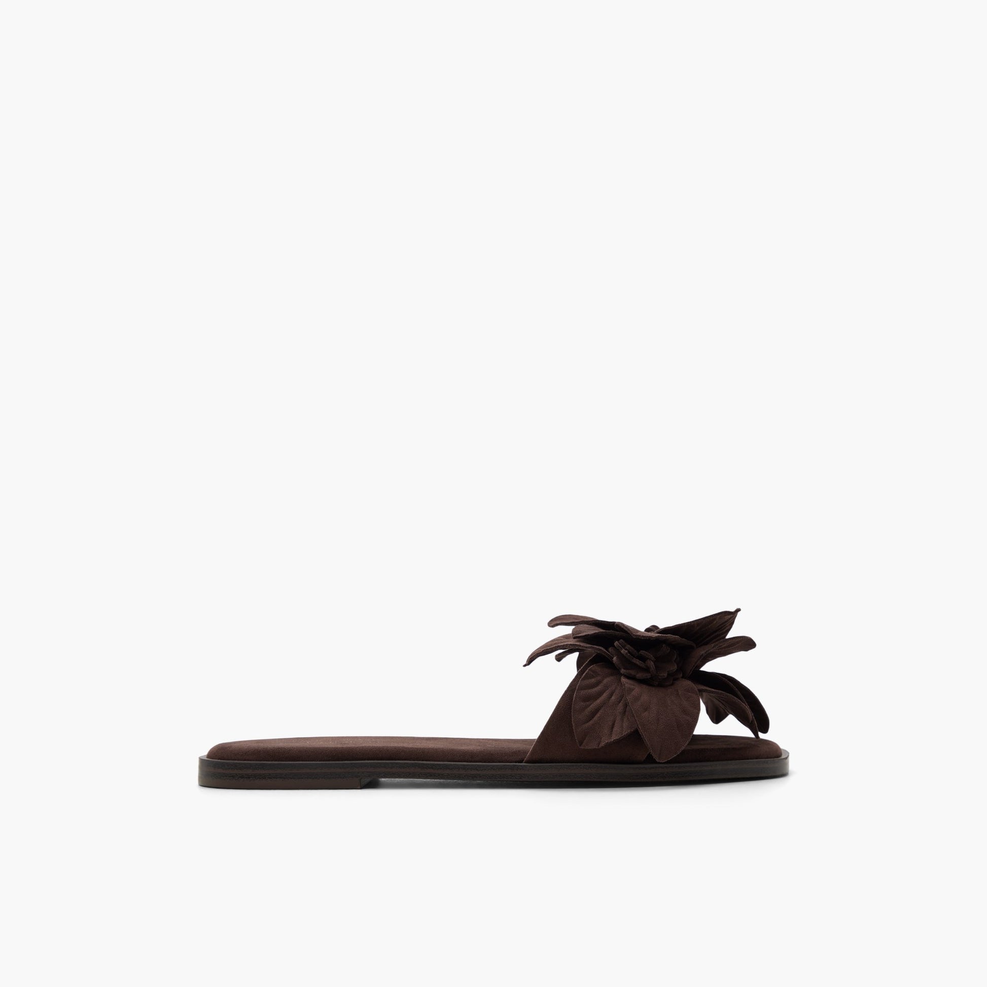 Test FR:Main View of Brun foncé Liliaa Claquettes for Femmes