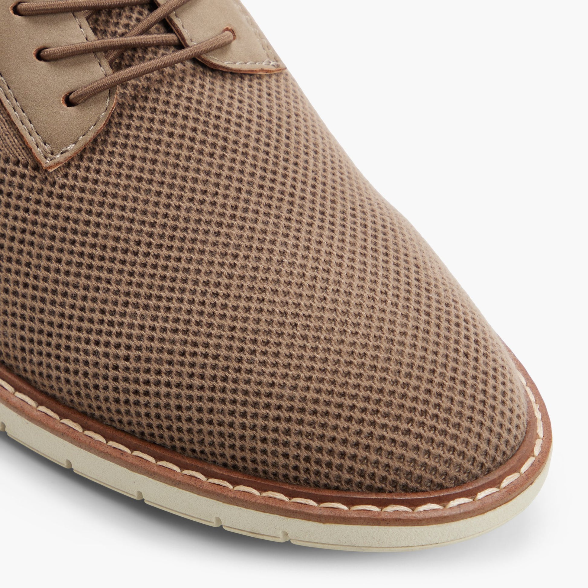 Gros plan de la Taupe Strickman