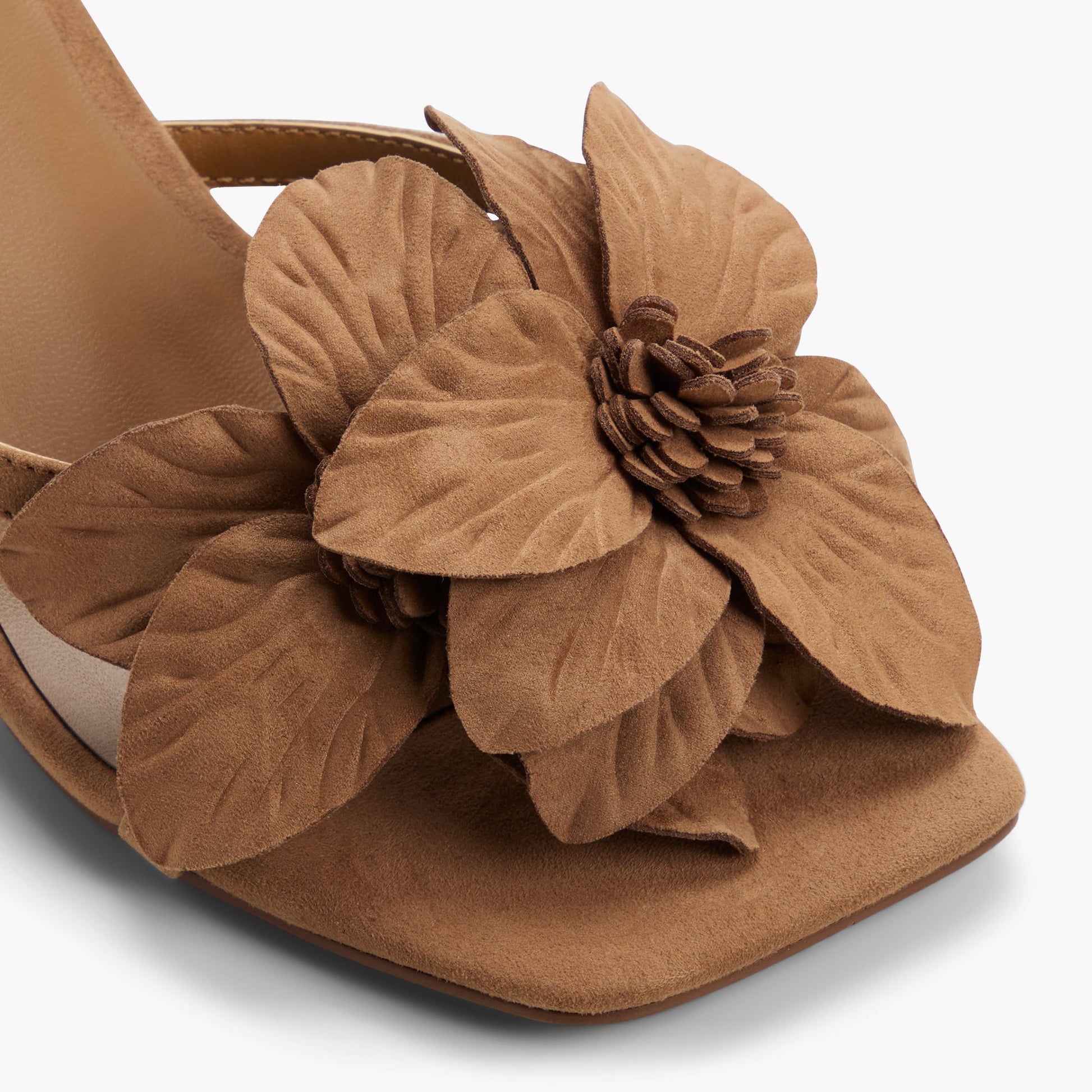 Gros plan de la Moyen beige Mariposaa Sandales tongs à talons chatons
