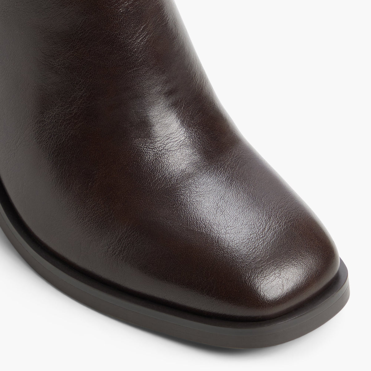 Close-up of the Dark brown Renay