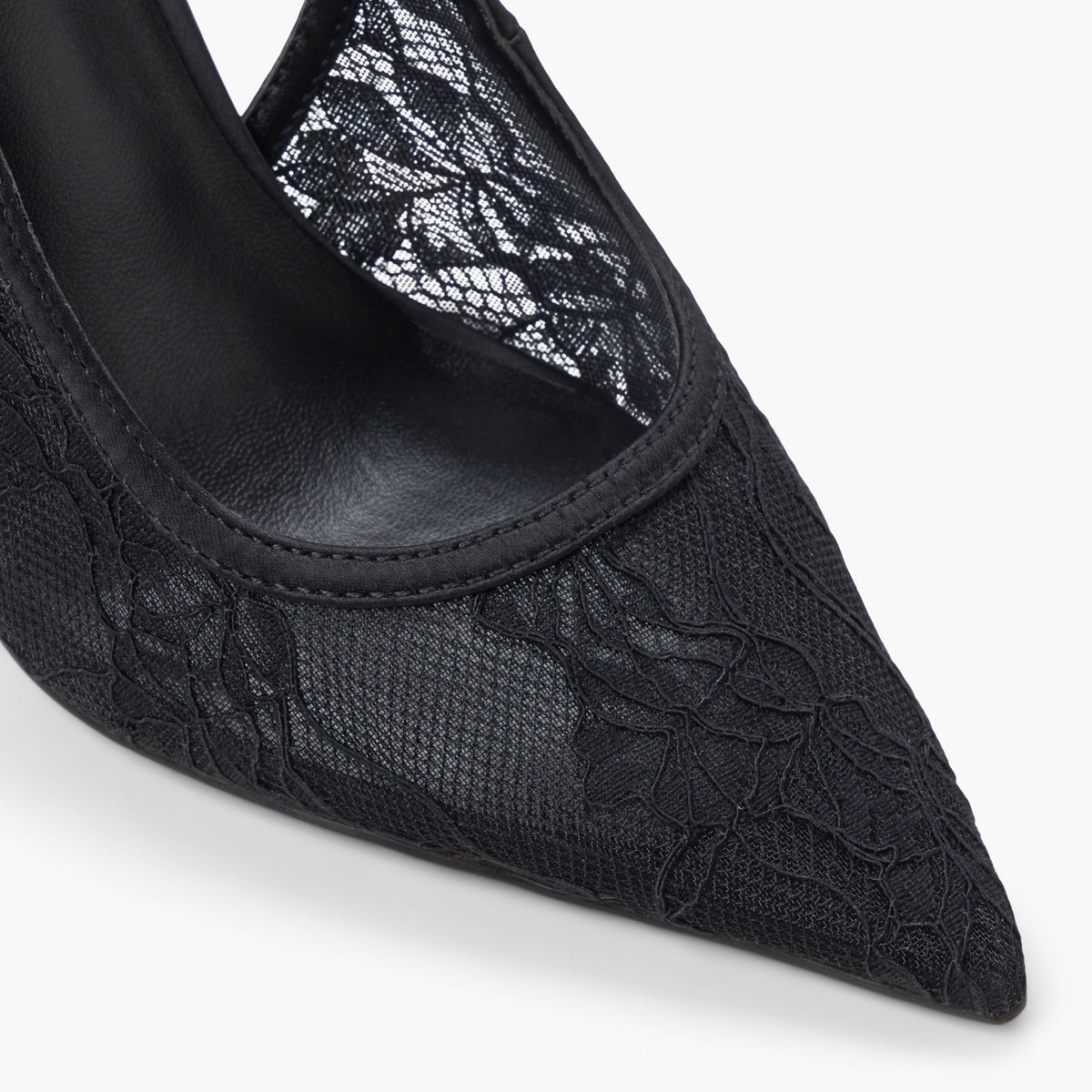 Close-up of the Black Daniellaa