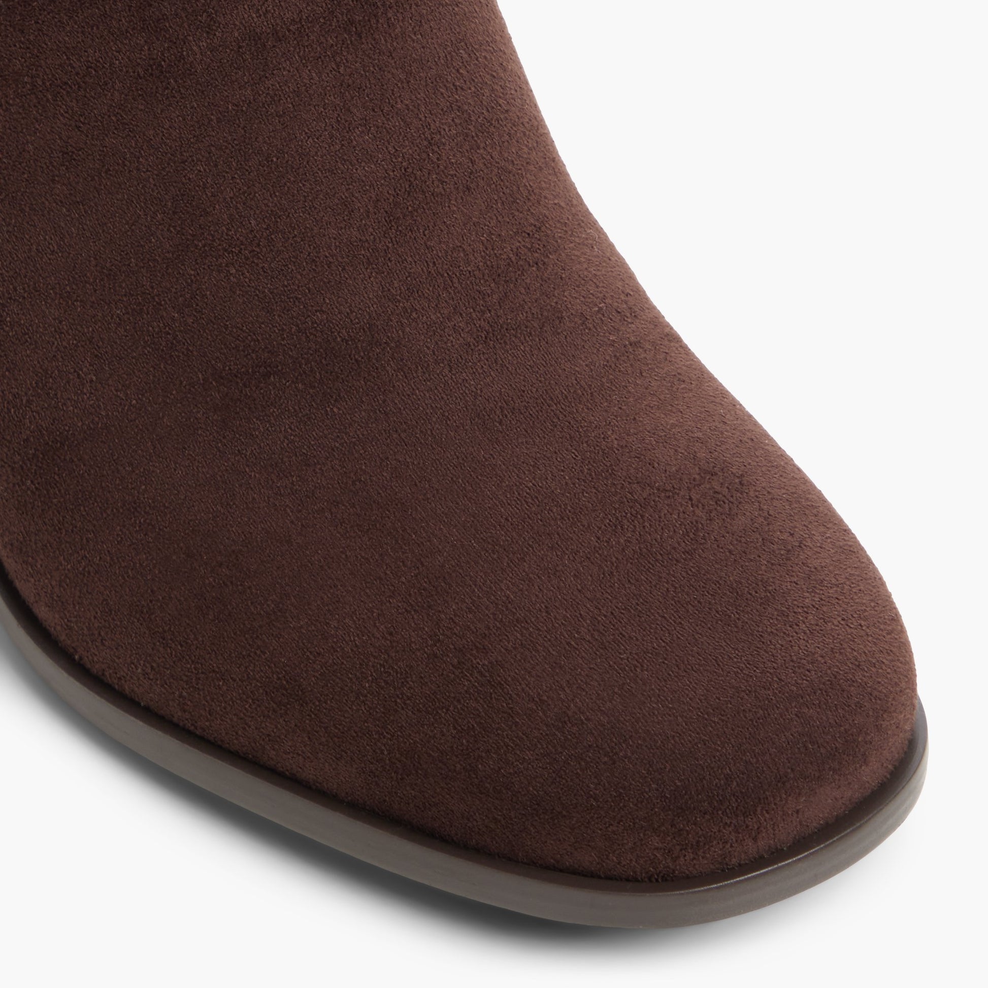 Close-up of the Dark brown Amina