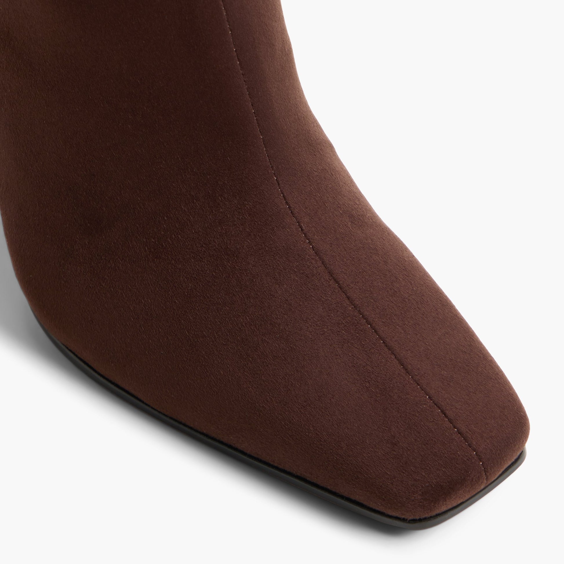 Close-up of the Dark brown Myaa