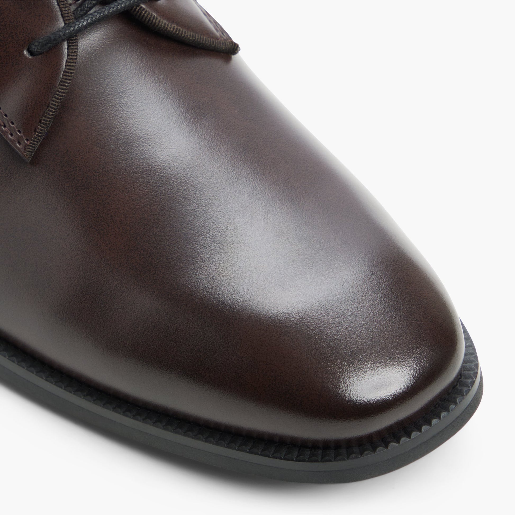 Close-up of the Dark brown Gilroy